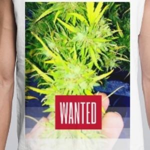 Limited Edition 100% Organic Cannabis plant shirt